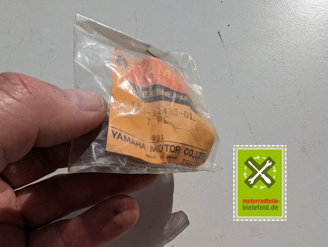 PXL_20240523_151732752